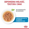 ROYAL CANIN SHN Mini Puppy w sosie - mokra karma dla szczeniąt - 12X85 g