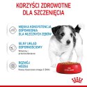 ROYAL CANIN SHN Mini Puppy w sosie - mokra karma dla szczeniąt - 12X85 g