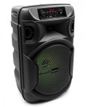 Głośnik Bluetooth 5.3 EDR PulseTower 1000W Funkcja Karaoke SQ1006