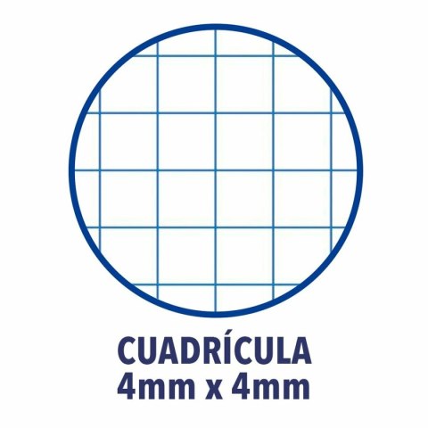 Notatnik ENRI Niebieski A4 Arkusz (10 Sztuk)