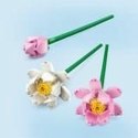 Zestaw do budowania Lego 40647 Lotus Flowers 220 Części