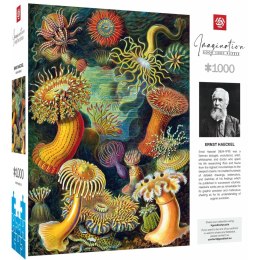 Układanka puzzle Cenega Publishing Ernst Haeckel Criaturas marinas 1000 Części