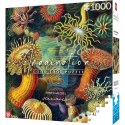 Układanka puzzle Cenega Publishing Ernst Haeckel Criaturas marinas 1000 Części