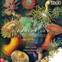 Układanka puzzle Cenega Publishing Ernst Haeckel Criaturas marinas 1000 Części