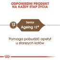 ROYAL CANIN Ageing +12 4kg