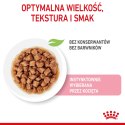 ROYAL CANIN FHN Kitten Sterilised w sosie - mokra karma dla kociąt - 12x85 g