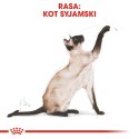 ROYAL CANIN FBN Siamese Adult - sucha karma dla dorosłego kota - 2kg