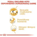 ROYAL CANIN FBN Siamese Adult - sucha karma dla dorosłego kota - 2kg