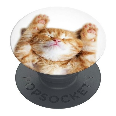 Popsockets 2 Snoozy Cat 70072uchwyt i podstawka do telefonu - basic