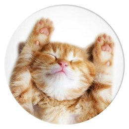 Popsockets 2 Snoozy Cat 70072uchwyt i podstawka do telefonu - basic