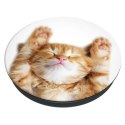 Popsockets 2 Snoozy Cat 70072uchwyt i podstawka do telefonu - basic