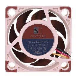 Wentylator NOCTUA NF-A4X20 40x20mm 3-Pin 5V