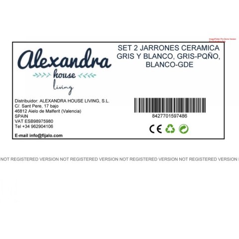 Zestaw 2 Wazony Alexandra House Living Biały Szary Ceramika 22 x 20 x 13 cm