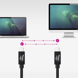 Kabel USB-C NANOCABLE Czarny 1 m