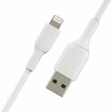 Kabel USB do Lightning Belkin CAA001BT1MWH Biały 1 m