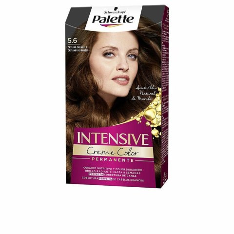 Trwała Koloryzacja Palette Schwarzkopf Jasny Kasztan N 5,6