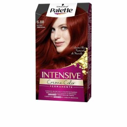 Trwała Koloryzacja Schwarzkopf Palette Intensive (1 Sztuk)