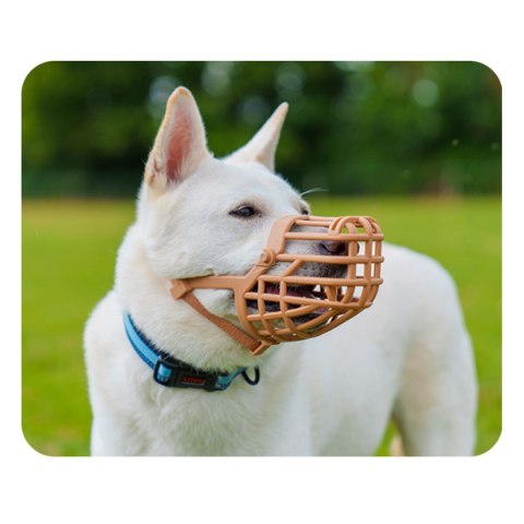 Kaganiec Company of Animals Brązowy 9