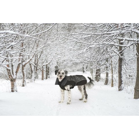 Płaszcz dla psa Dog Gone Smart Czarny 35 cm