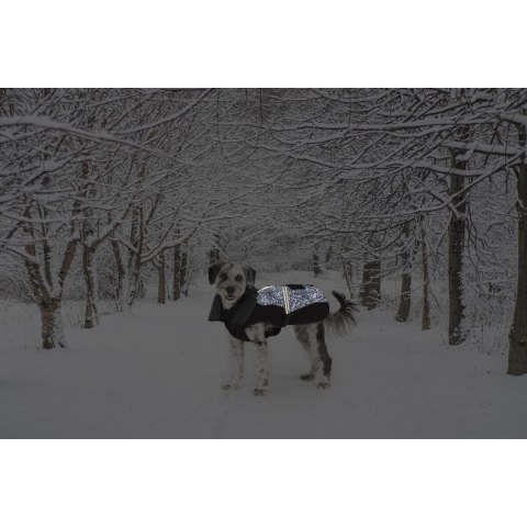 Płaszcz dla psa Dog Gone Smart Czarny 50 cm