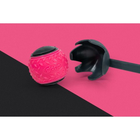 Wyrzutnia Piłek dla Psa Gloria Szary polipropylen TPR M