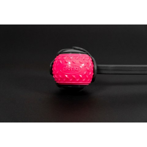 Wyrzutnia Piłek dla Psa Gloria Różowy polipropylen TPR M