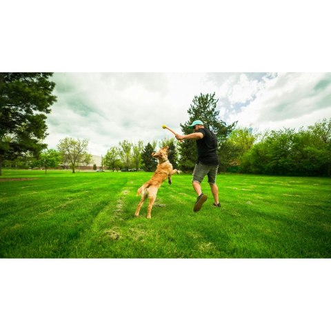 Wyrzutnia Piłek dla Psa Hunter Żółty Pomarańczowy Gumowy Lopta