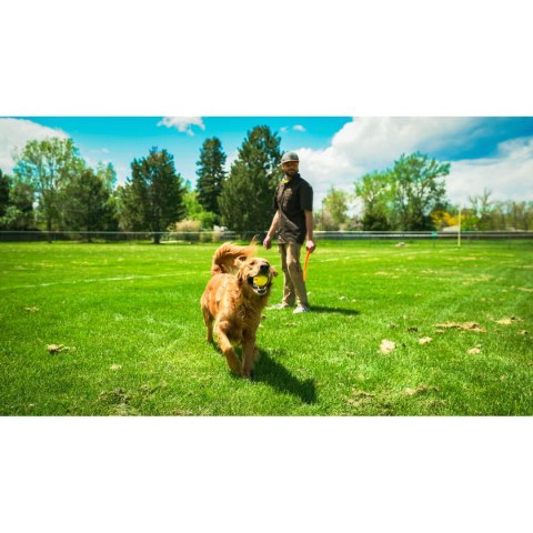 Wyrzutnia Piłek dla Psa Hunter Żółty Pomarańczowy Gumowy Lopta