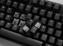 Klawiatura gamingowa Ducky One 3 Aura TKL Gaming USB QWERTY Amerykański międzynarodowy Czarna