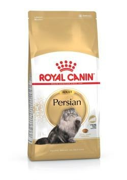 Royal Canin FBN Persian Adult - sucha karma dla kota dorosłego - 4kg