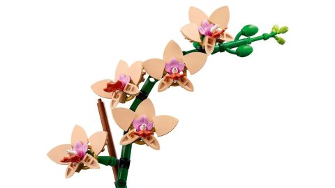 LEGO The Botanical Collection 10343 - Mała orchidea