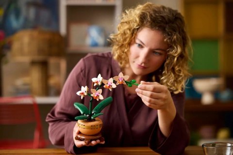 LEGO The Botanical Collection 10343 - Mała orchidea