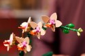 LEGO The Botanical Collection 10343 - Mała orchidea