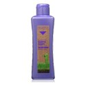 Szampon głęboko oczyszczający Salerm Biokera Grapeology 300 ml