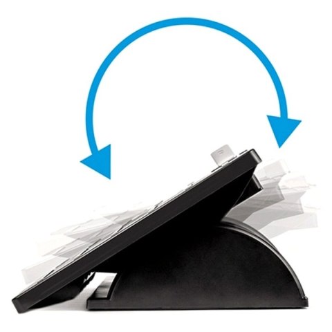 Podnóżek ergonomiczny Fellowes 8035001 Czarny