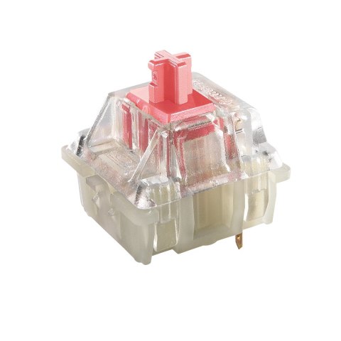 Klawiatura CHERRY G80-3000N RGB TKL Uniwersalne USB QWERTZ Niemiecki Czarny