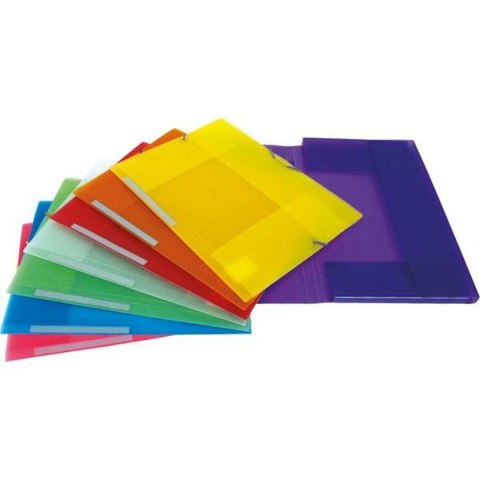 Organizer do archiwizacji Grafoplas Naturalny Arkusz (50 Sztuk)