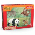 Playset Schleich My First Asian Animals 4 Części