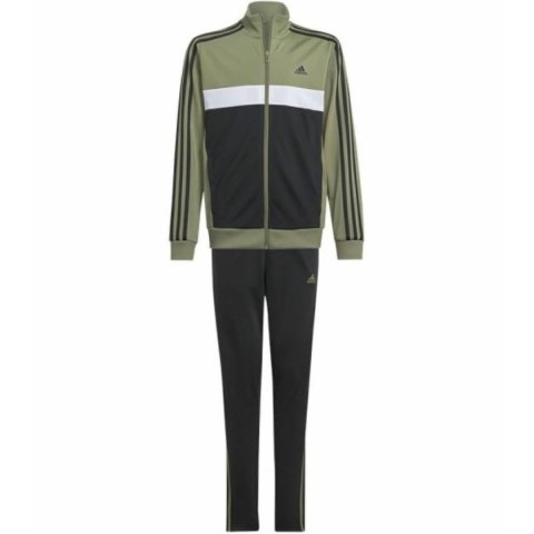 Dres Dziecięcy Adidas TIBERIO IY1796 Kolor Zielony - 16 Lat