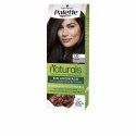 Trwała Koloryzacja Palette Natural Schwarzkopf - 6.0 - rubio oscuro