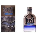 Perfumy Męskie Roberto Cavalli EDT - 30 ml