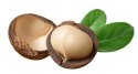 Palmolive Naturals Macadamia & Cacao Żel pod Prysznic 750 ml