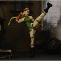 Przegubowa Figura Street Fighter