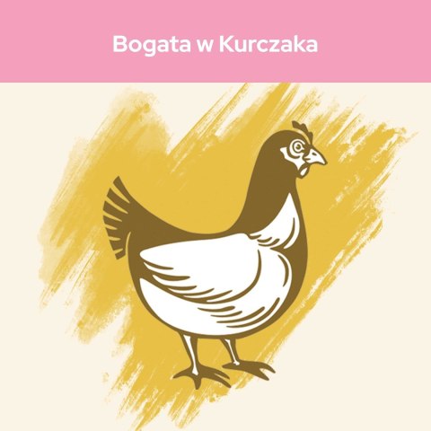 PURINA CAT CHOW Kitten Chicken - sucha karma dla kociąt - 1,5 kg