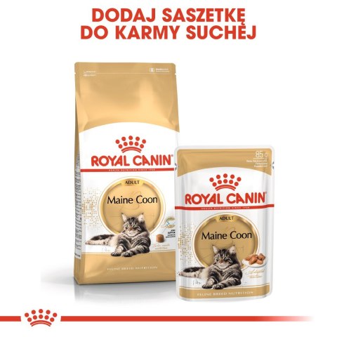 ROYAL CANIN FBN Maine Coon - mokra karma dla dorosłego kota - 12x85g