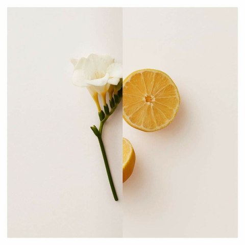 Perfumy Damskie Burberry My Burberry EDP 90 ml