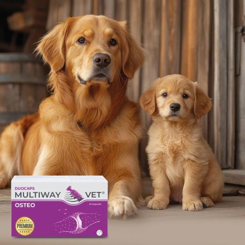JM SANTE MULTIWAY DUOCAPS OSTEO wsparcie stawów 60 kaps
