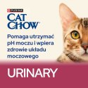 PURINA CAT CHOW Special Care Urinary Tract Health 15kg
