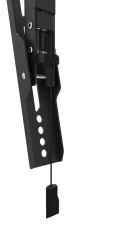 Uchwyt ścienny WL35-550BL14 32-65 cali