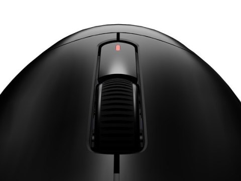 Mysz Fury TANTO T4 RGB 12000DPI gamingowa czarna